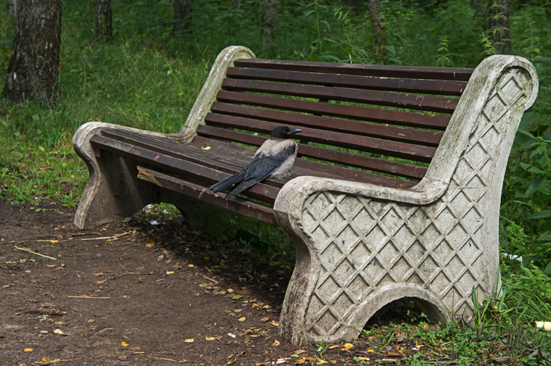 Присела отдохнуть