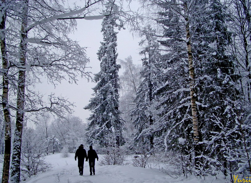 Морозная прогулка