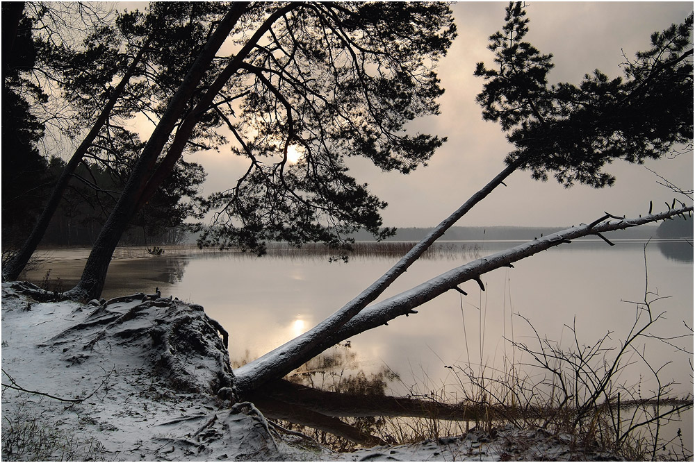 Предзимье.