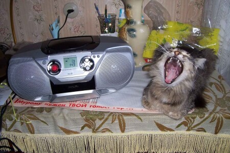 Мурому нужен твой голос.