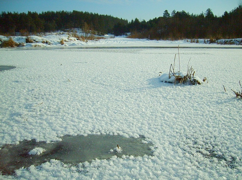 Тишина