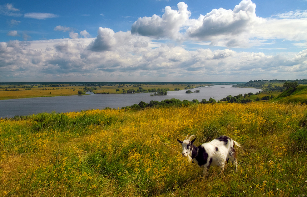 По Есенинским местам