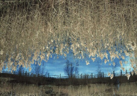 Осенний занавес