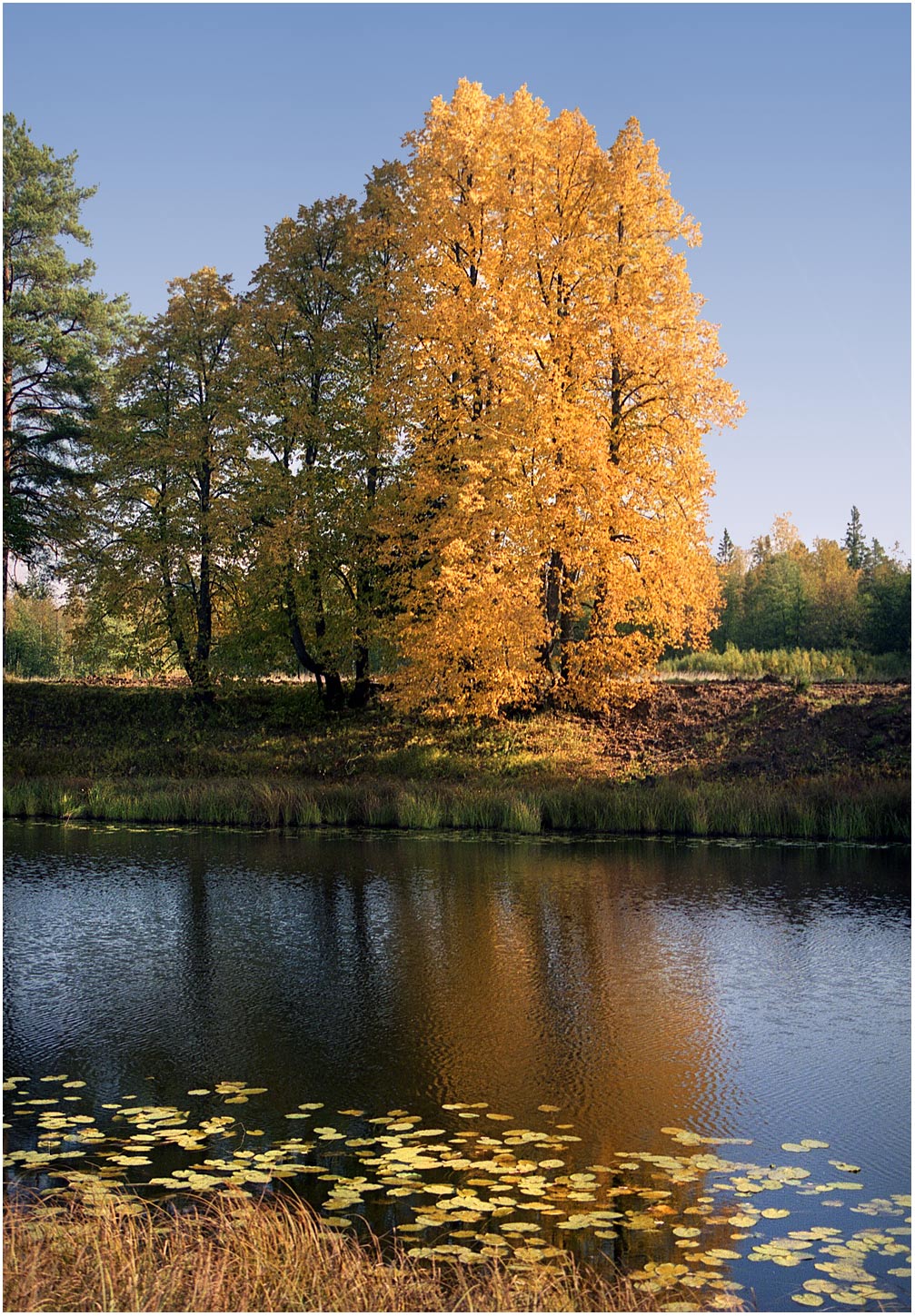 Осень на озере Сомово