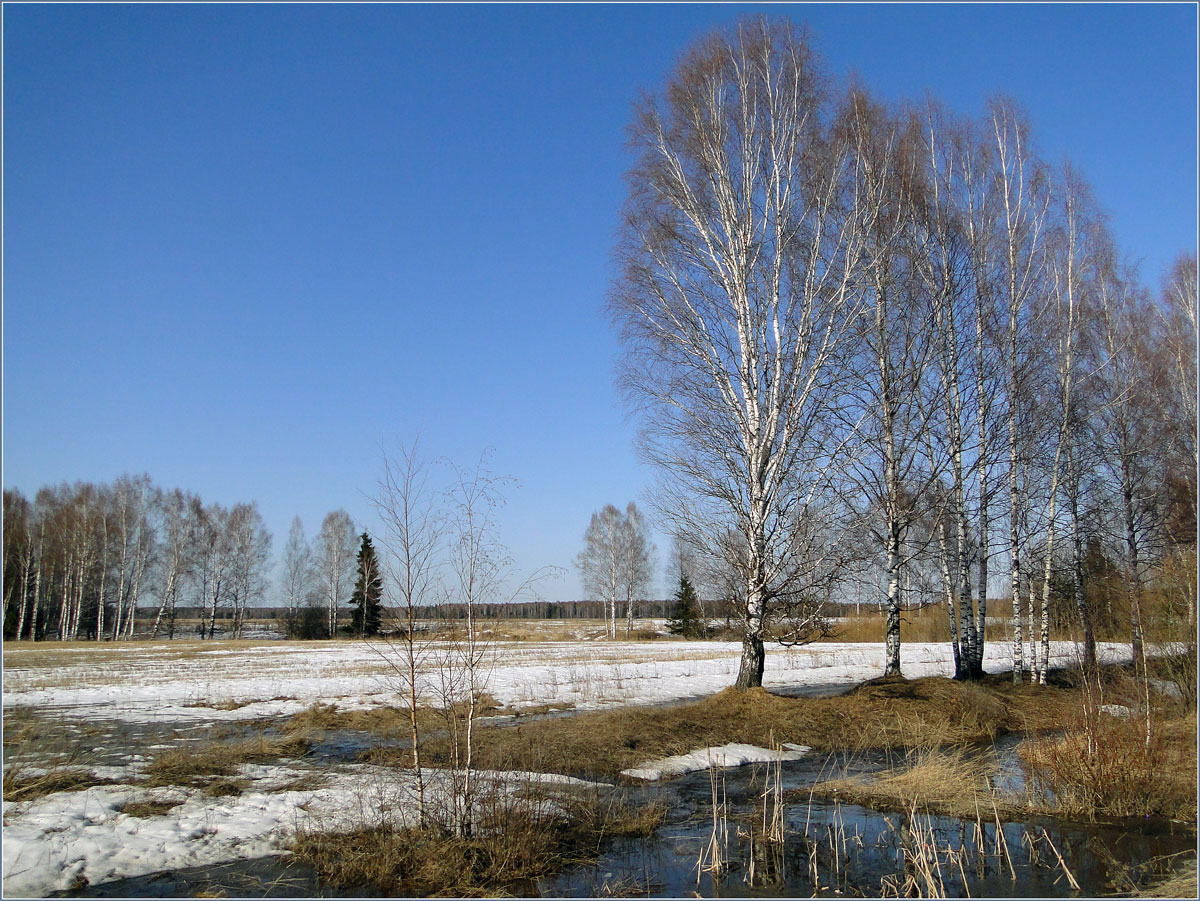 Прошлогодний апрель