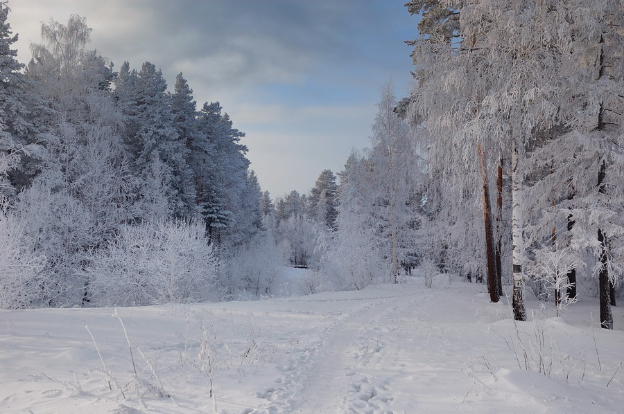 Снежная тропа