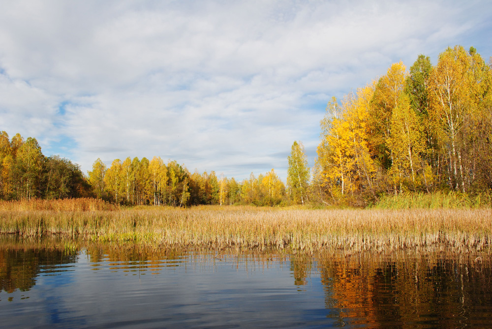 Краски осени