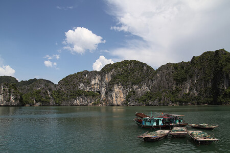 Vịnh Hạ Long