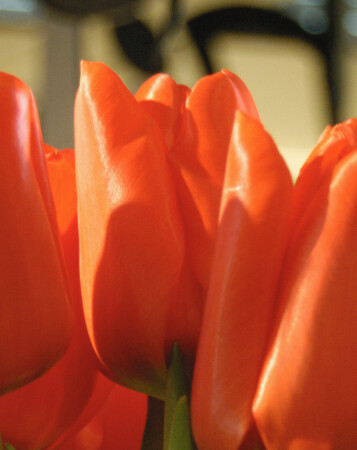 Низкий ДД кроп-матриц