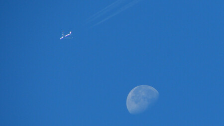 Билет до Луны