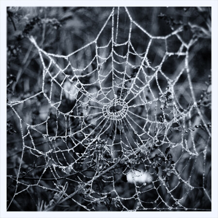 В ледовом плену