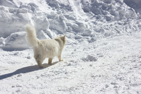 Ухожу от вас, плохие вы...