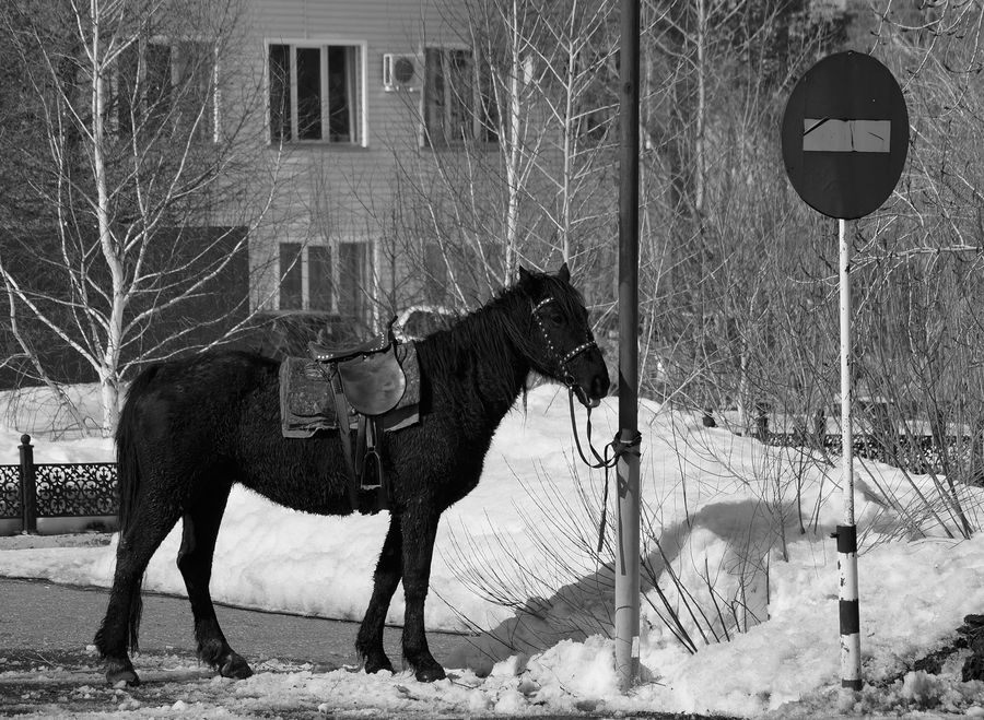 Въезд запрещен!