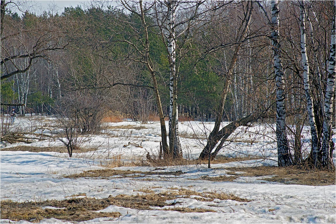 Весна, апрель.