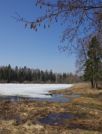 Весенним деньком.
