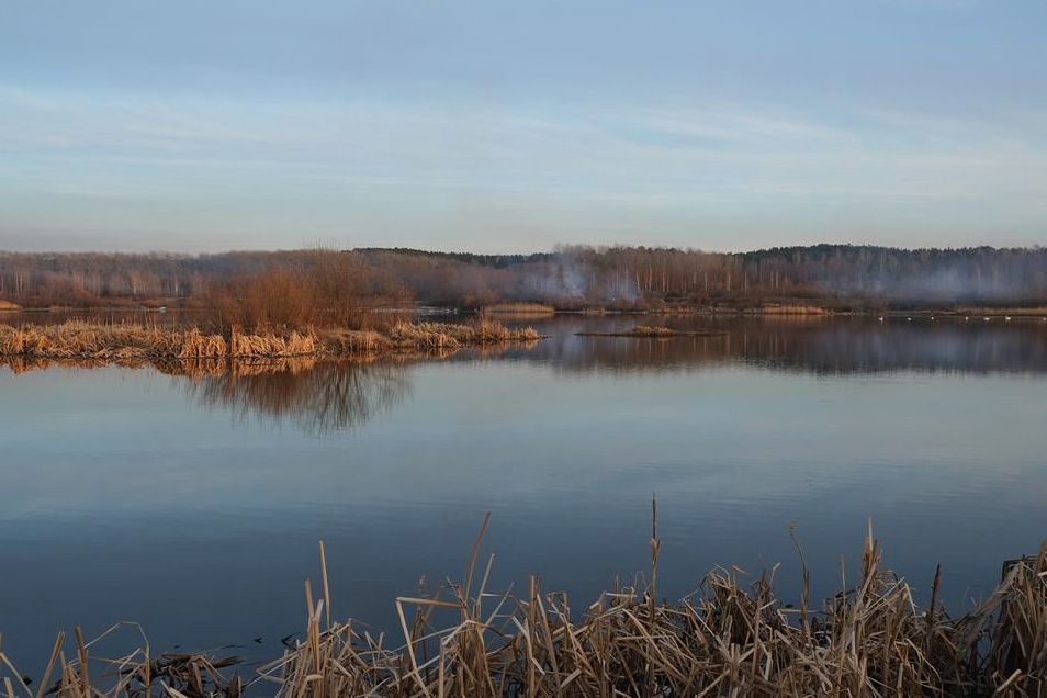 Голубая гладь