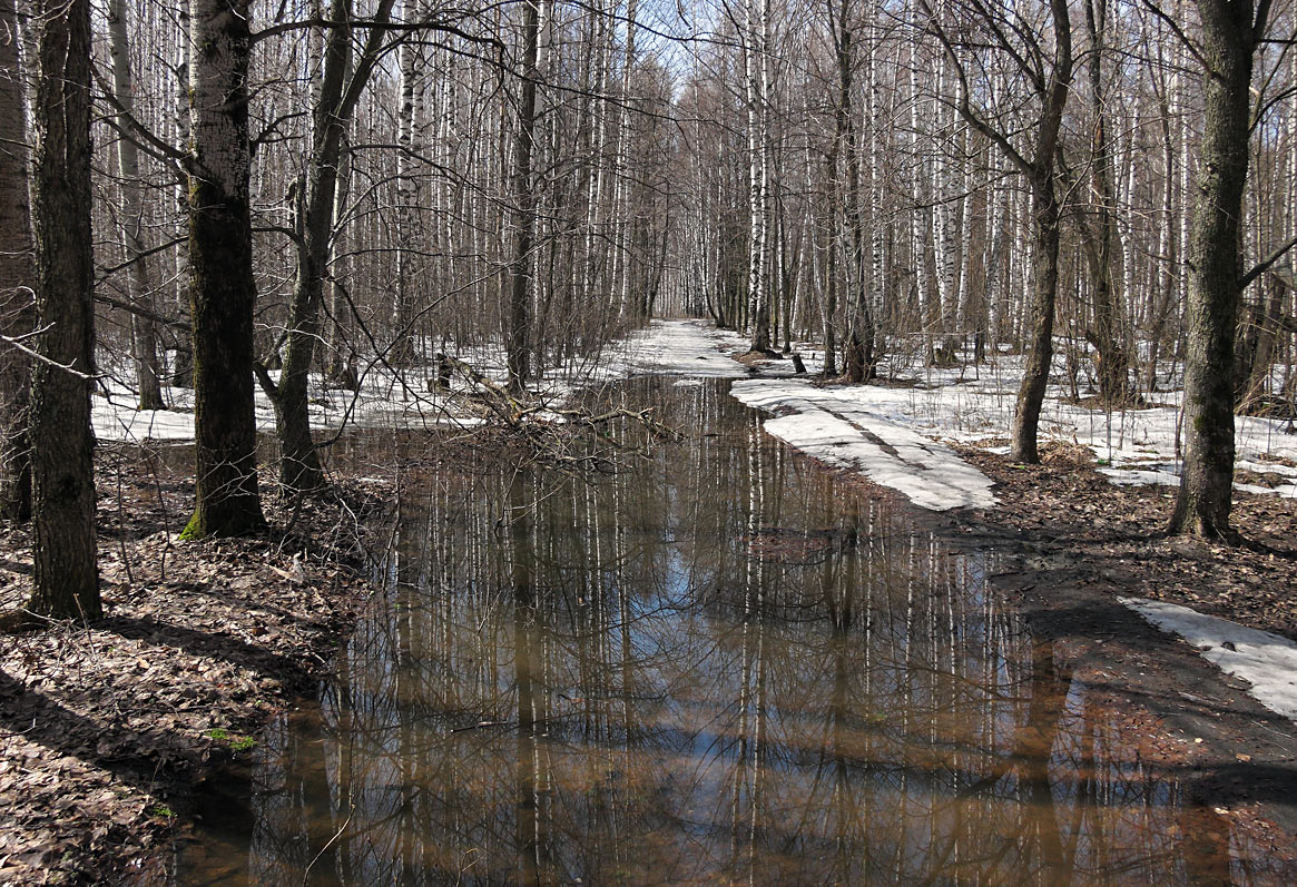 Неяркая весна