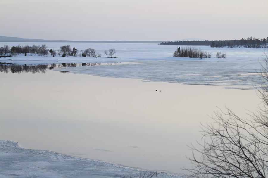 Весна