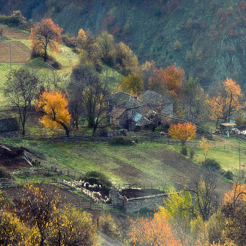 Осенний aкварель