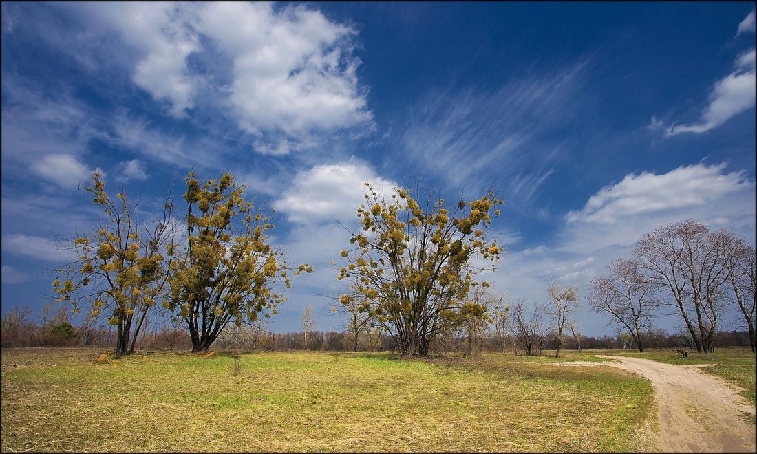 Саввана по-украински