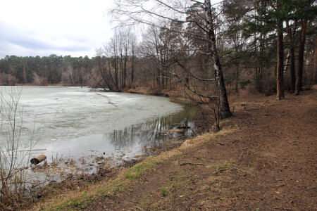 Ранней весной