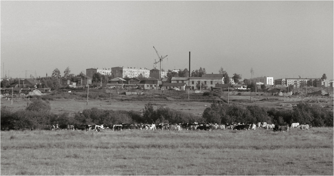 Старая Москва, Измайлово, 1964 год.