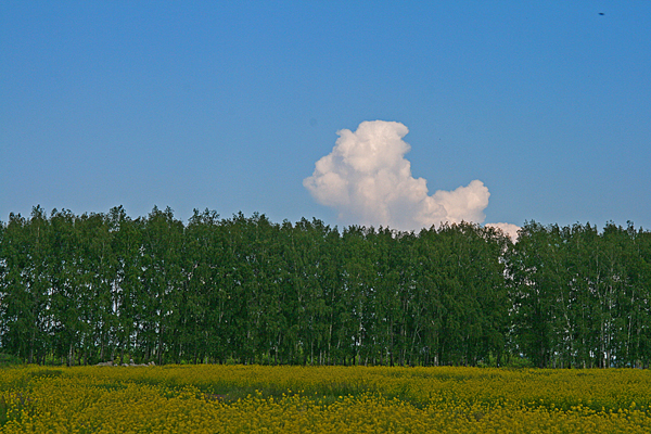 люди в облаках.