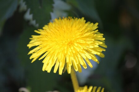 апрель, работа перед праздниками