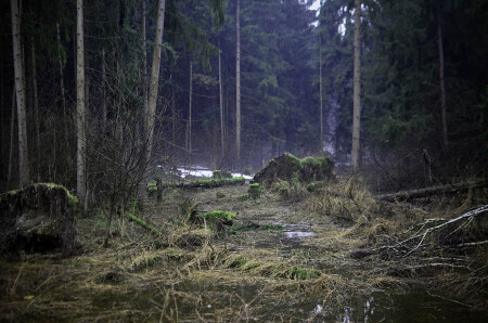 Вот и весна...