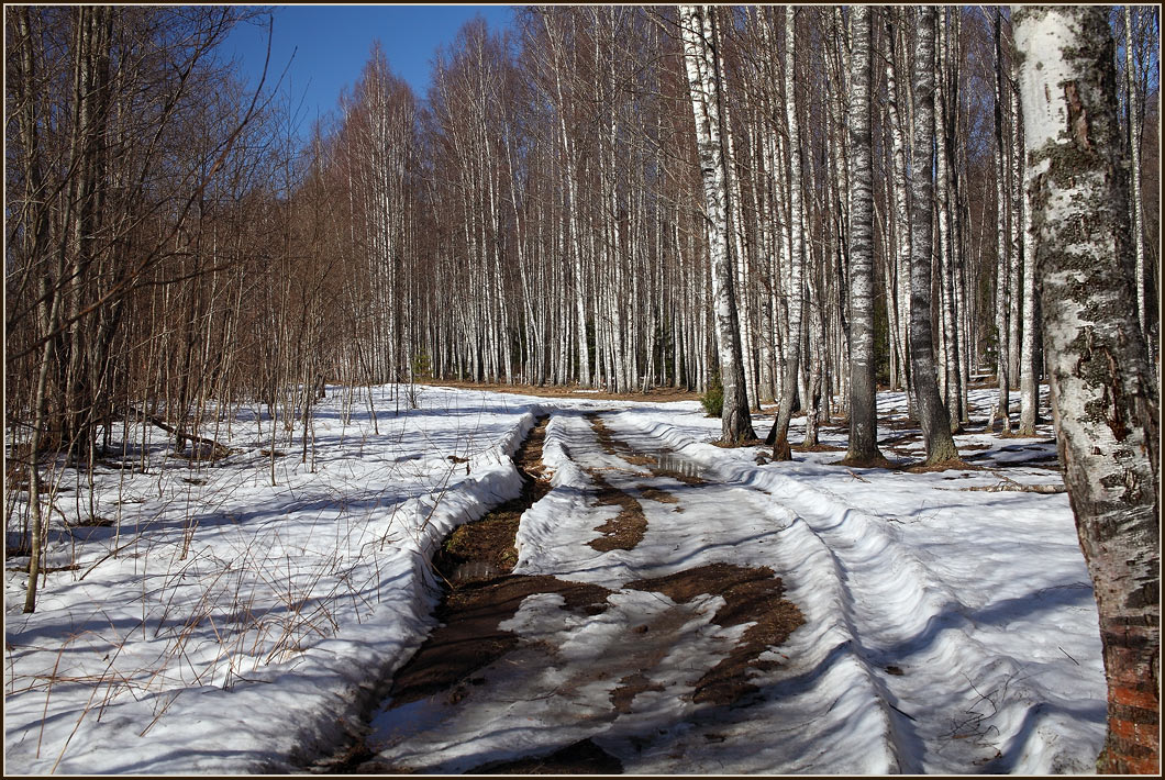 Апель