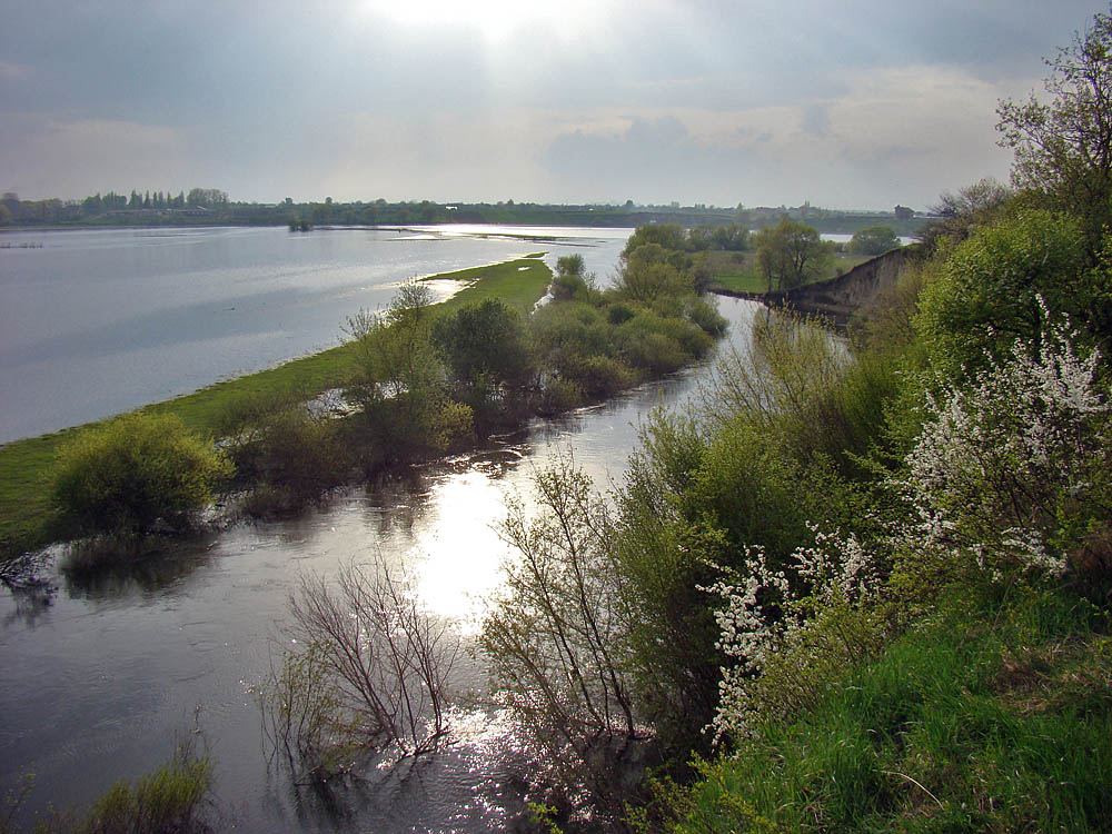 Весна на Стырь-реке