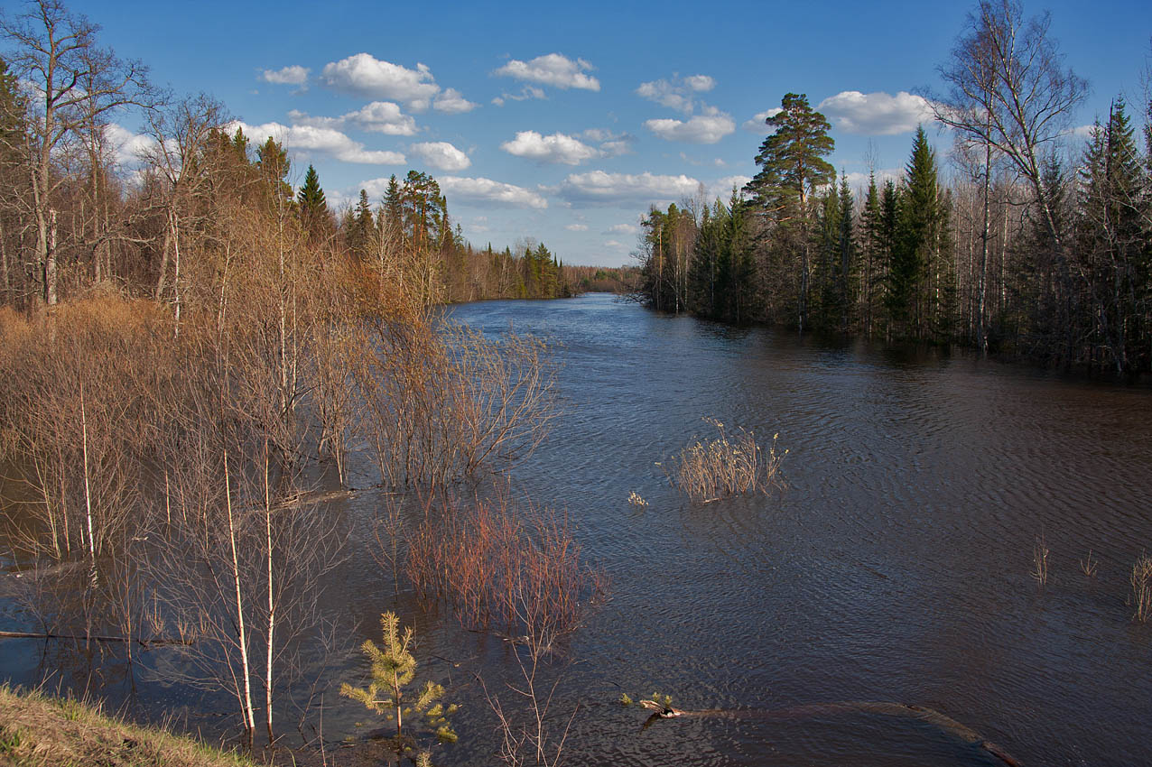 Майская большая вода