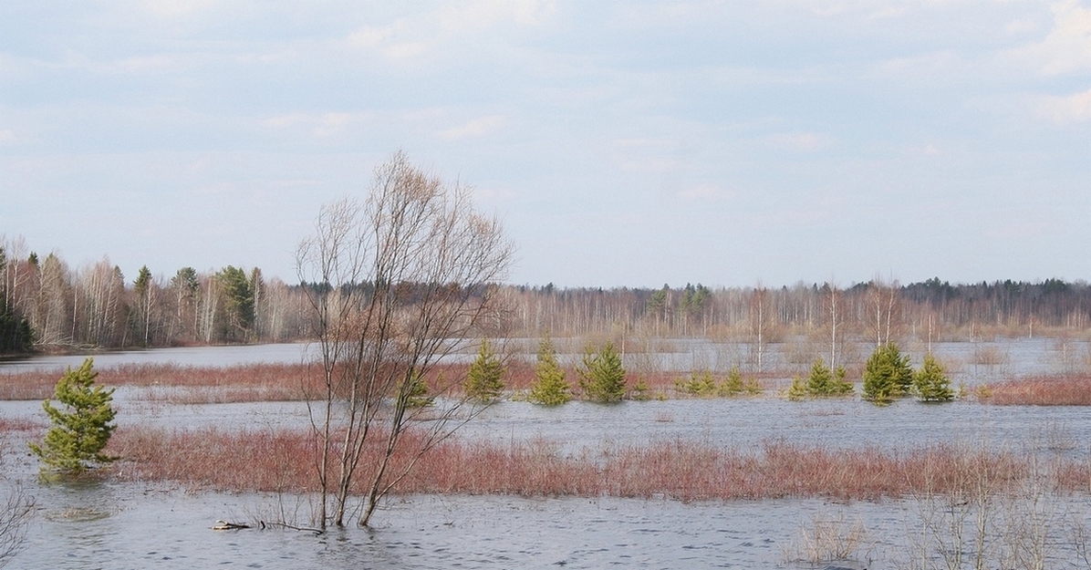 Майское утро