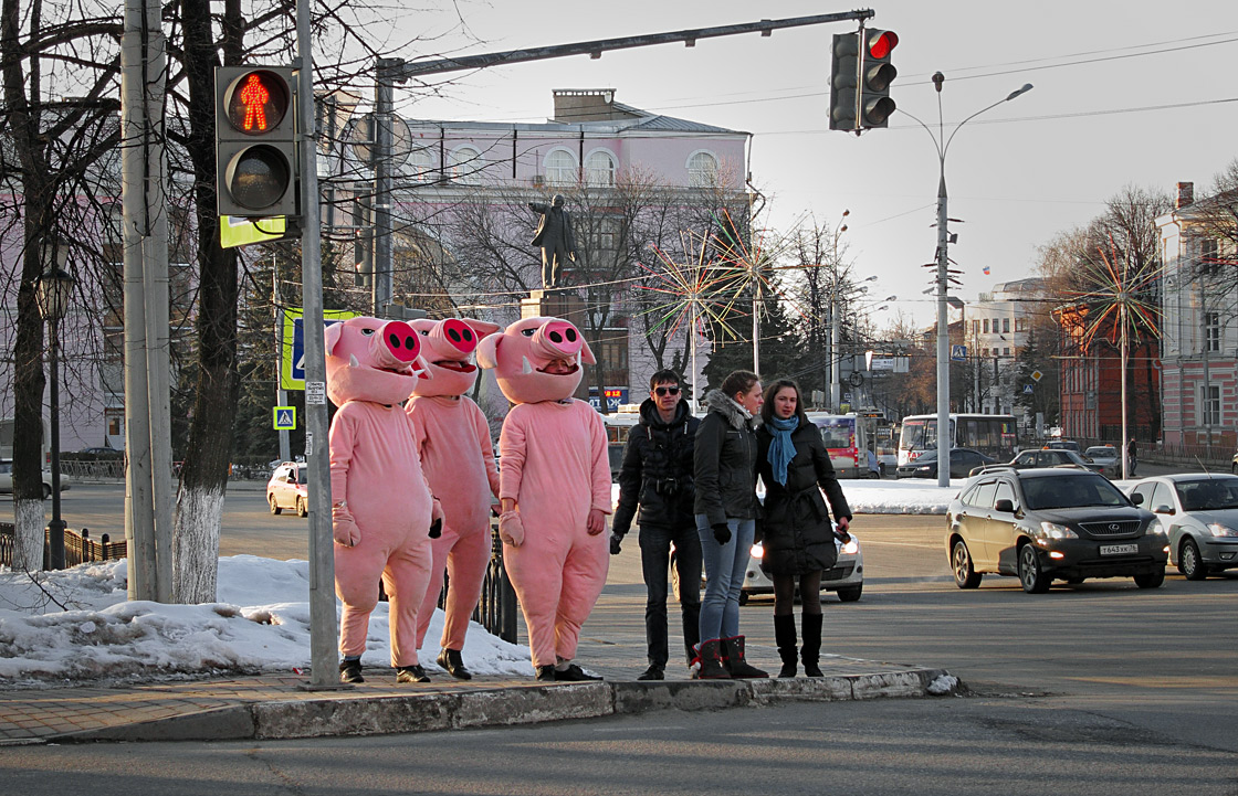 Свинский перекресток