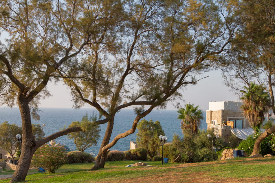 Tel Aviv - Yafo