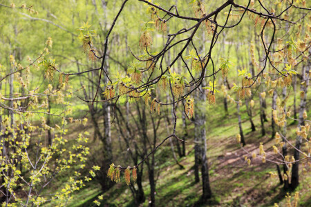 Солнечное настроение