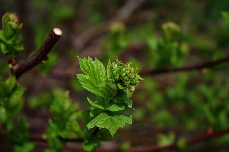 вот и весна
