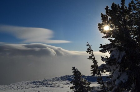 Солнечный день