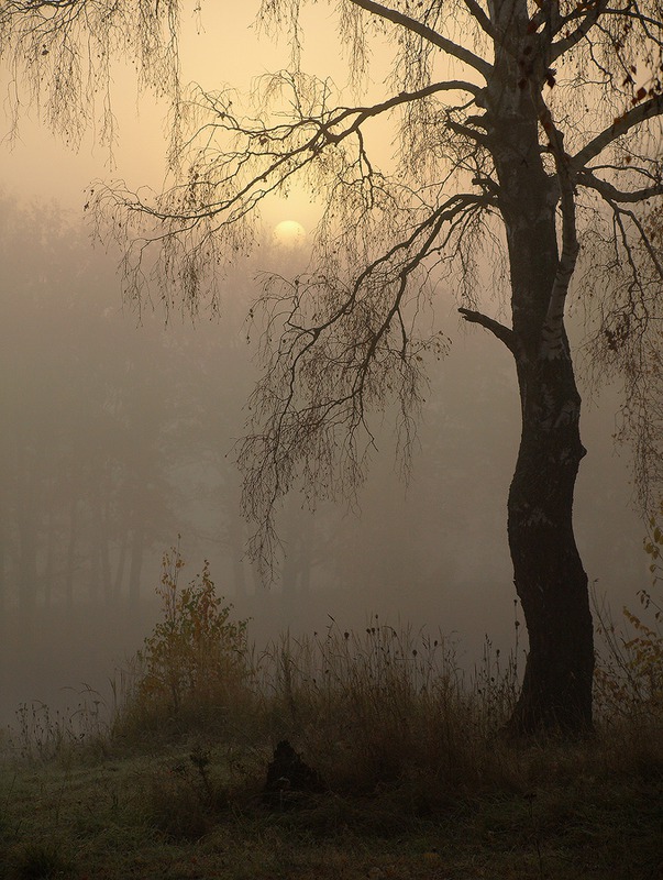 Осеннее утро