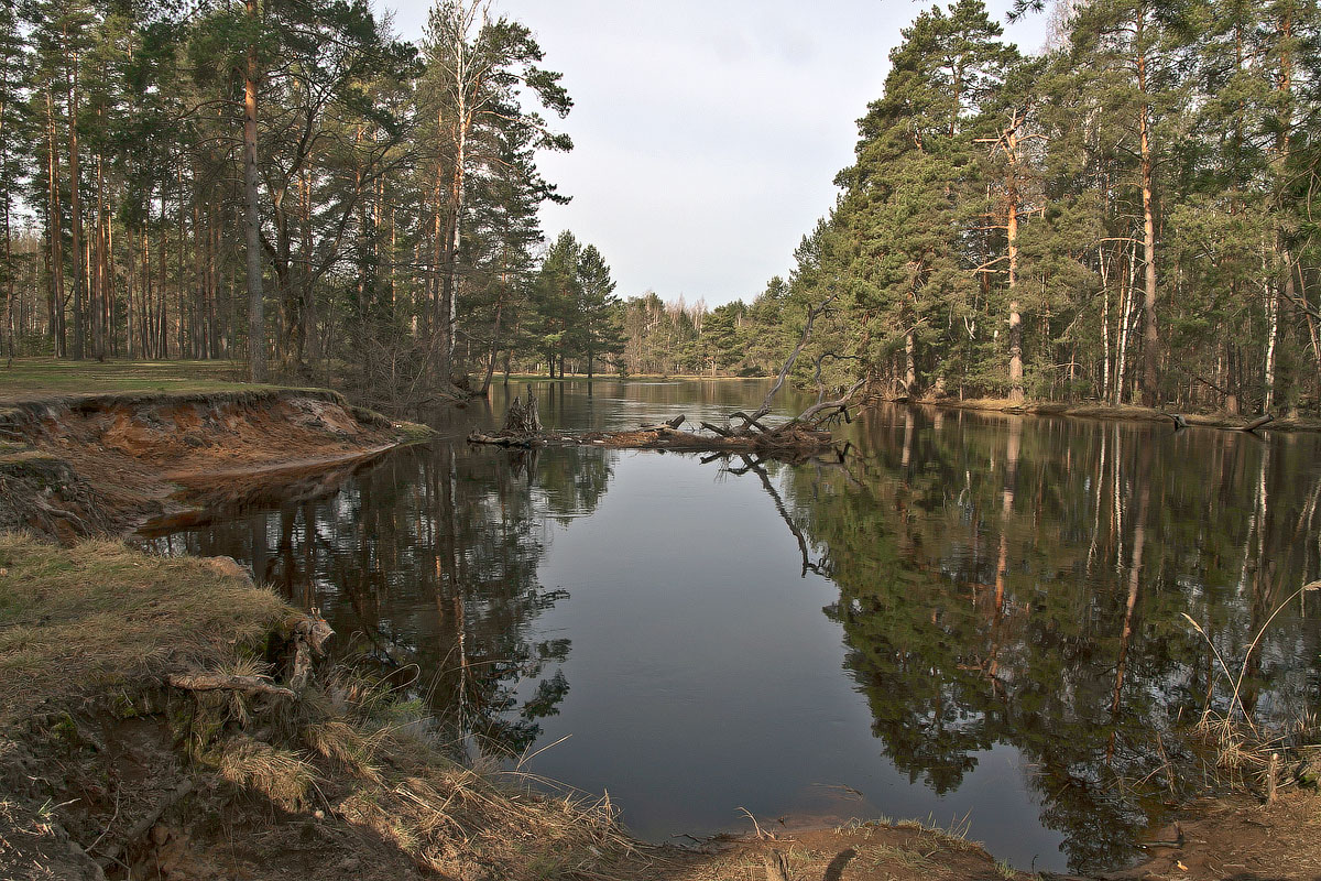 Разлив р.Нерская