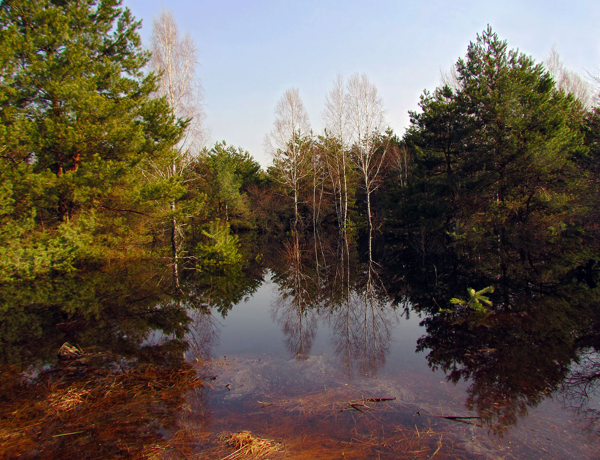 Начало болшой Воды