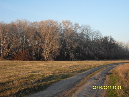 наши красоты