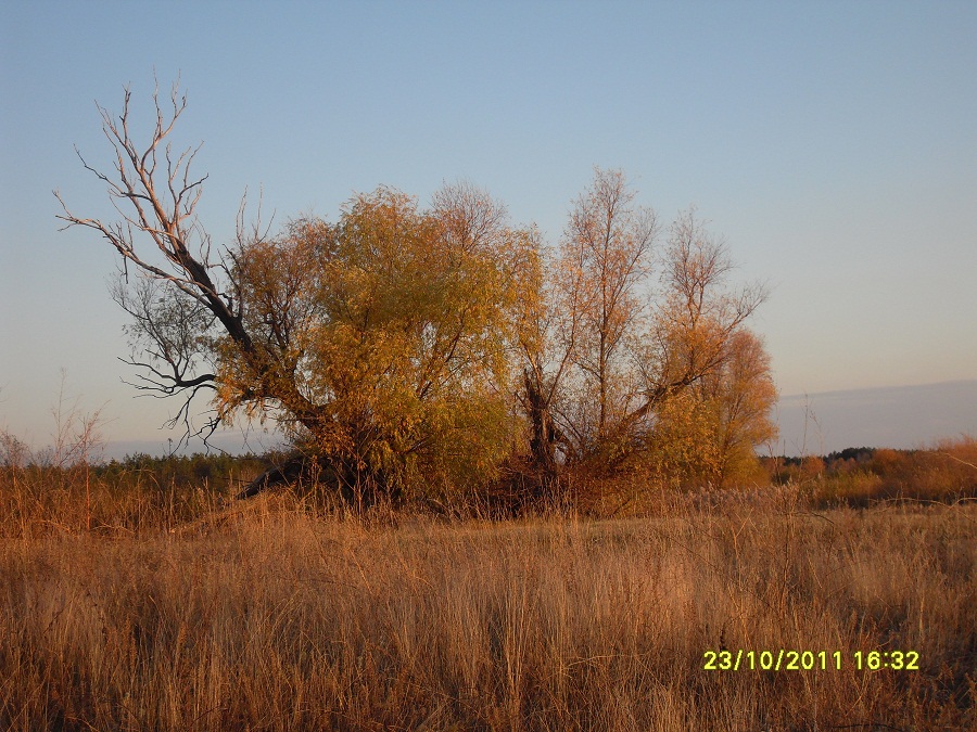 наши красоты