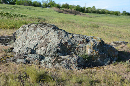 Сеттер царя Соломона