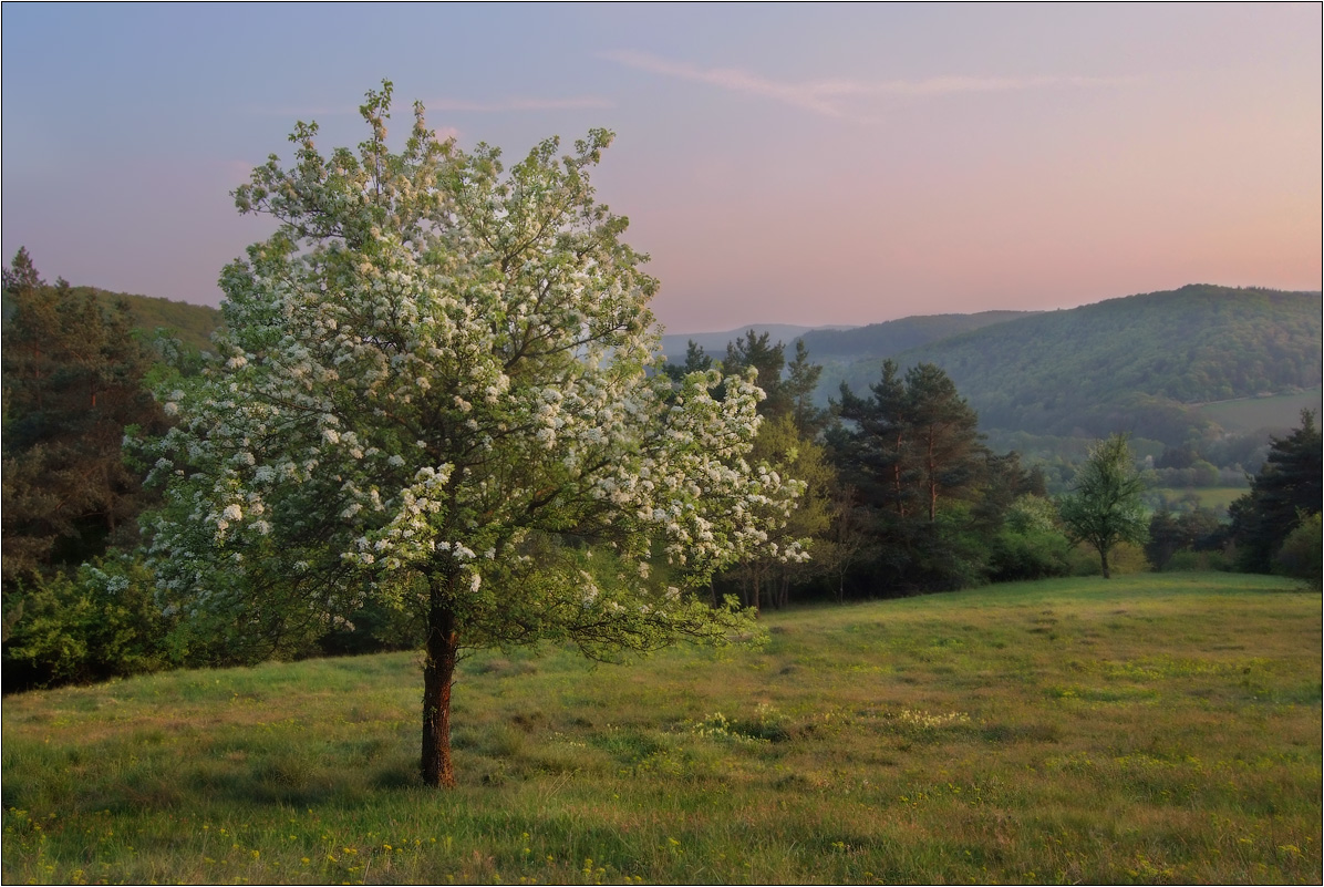 Весенние мотивы