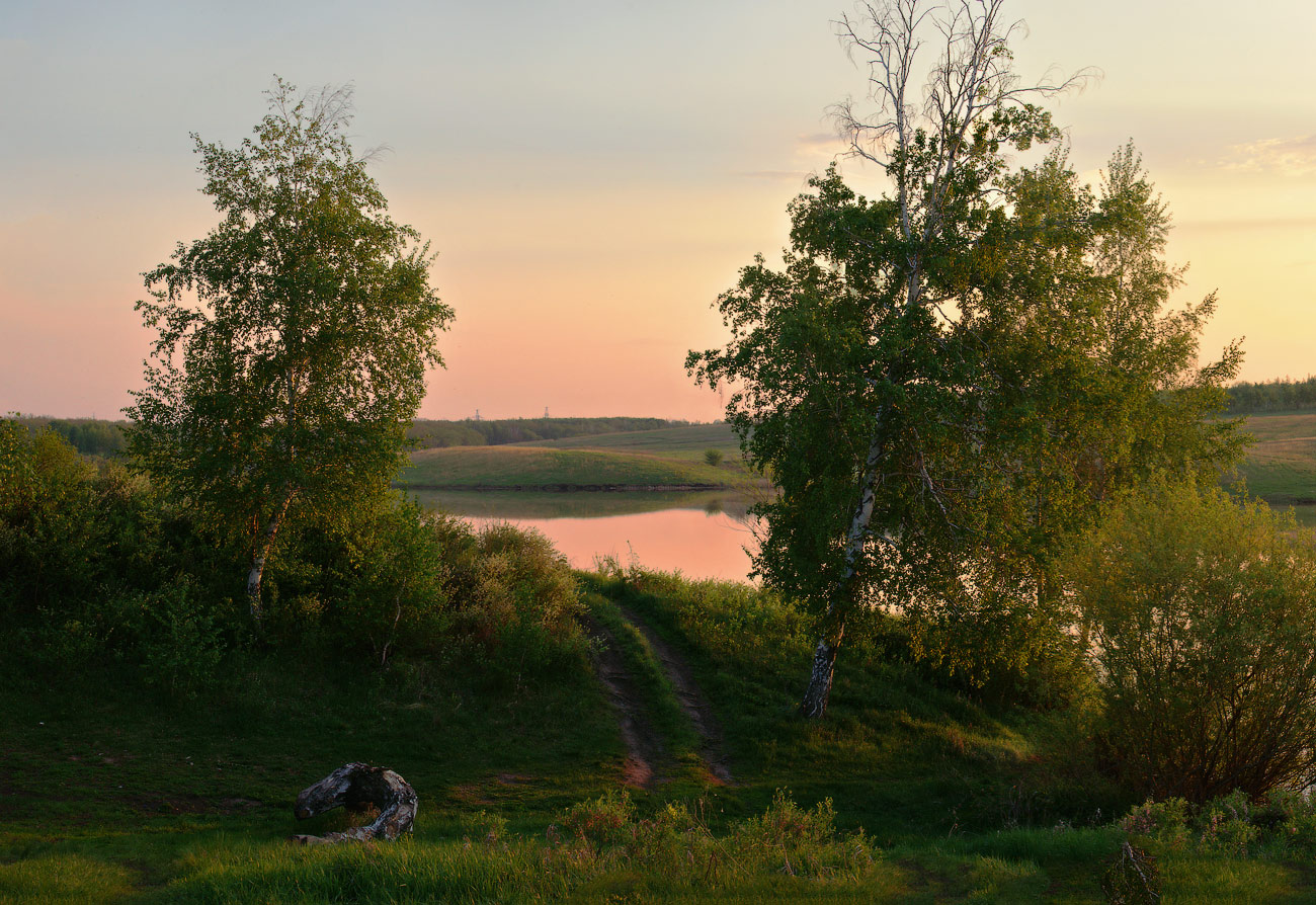 По тропинке