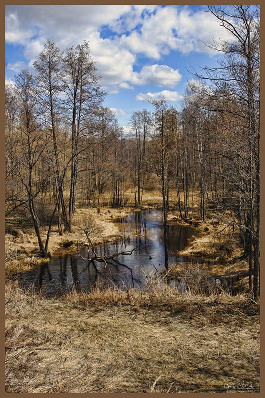 Апрель в Мещёре