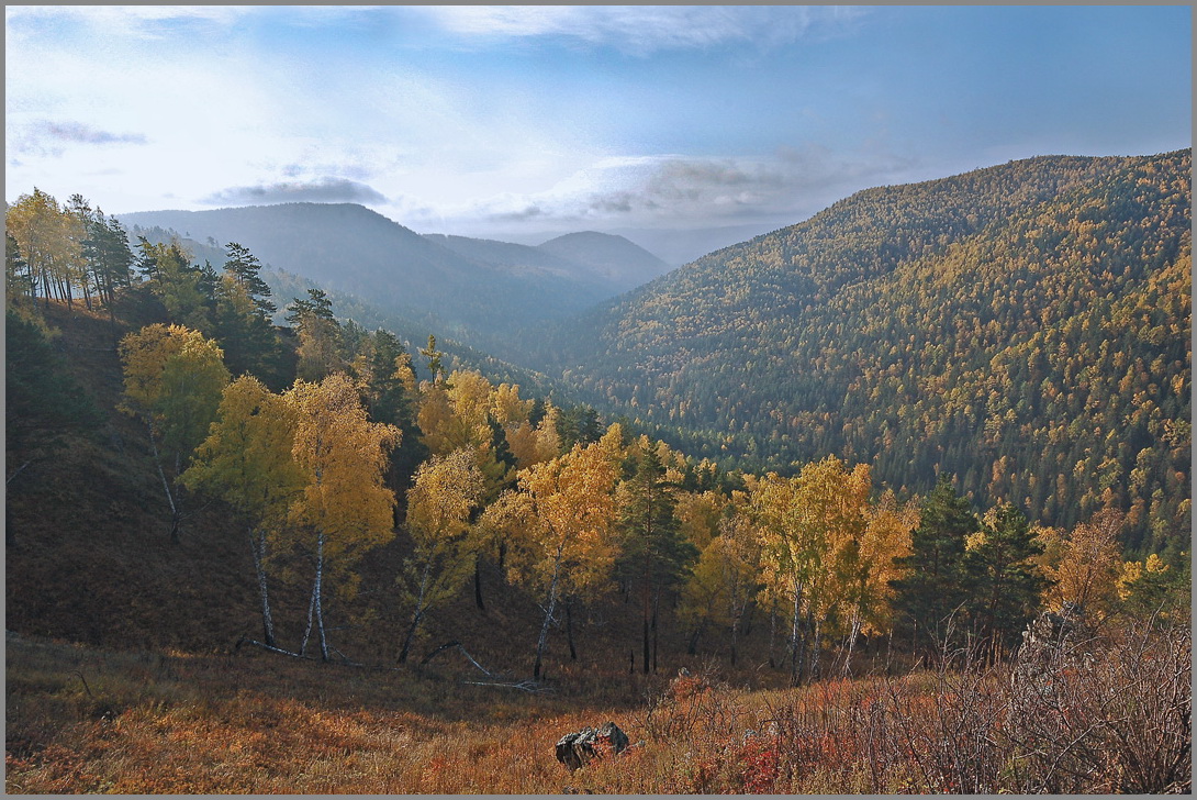 Осеннее утро