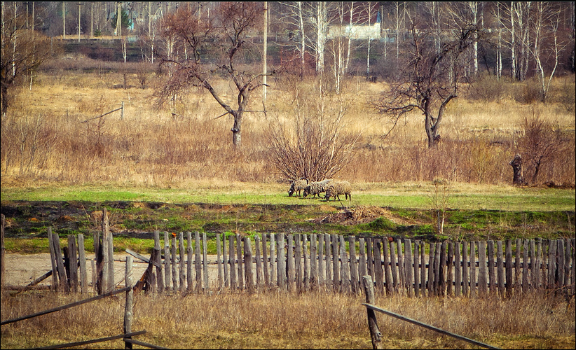 Пейзаж из окна... Весенний.