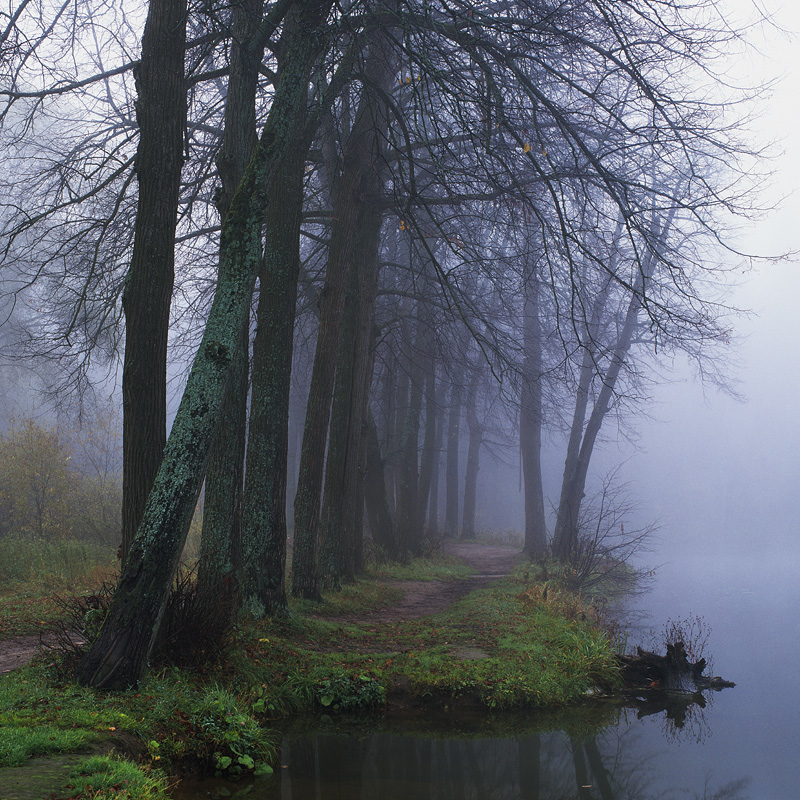 729-HB-121012-Velvia50-012